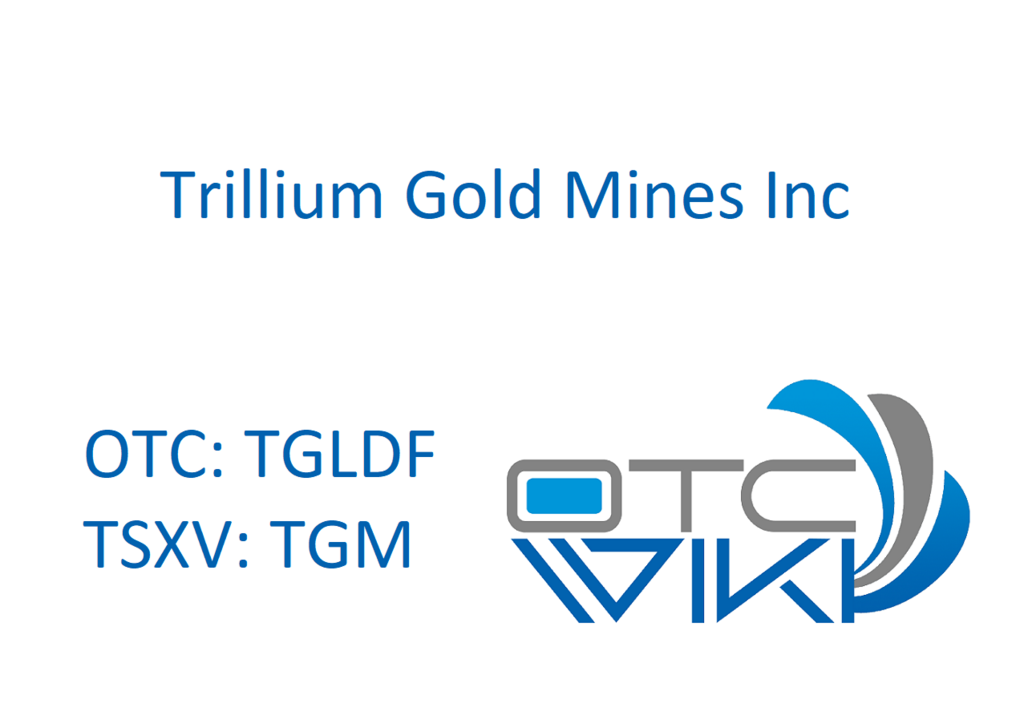 TGLDF Stock - Renegade Gold Inc